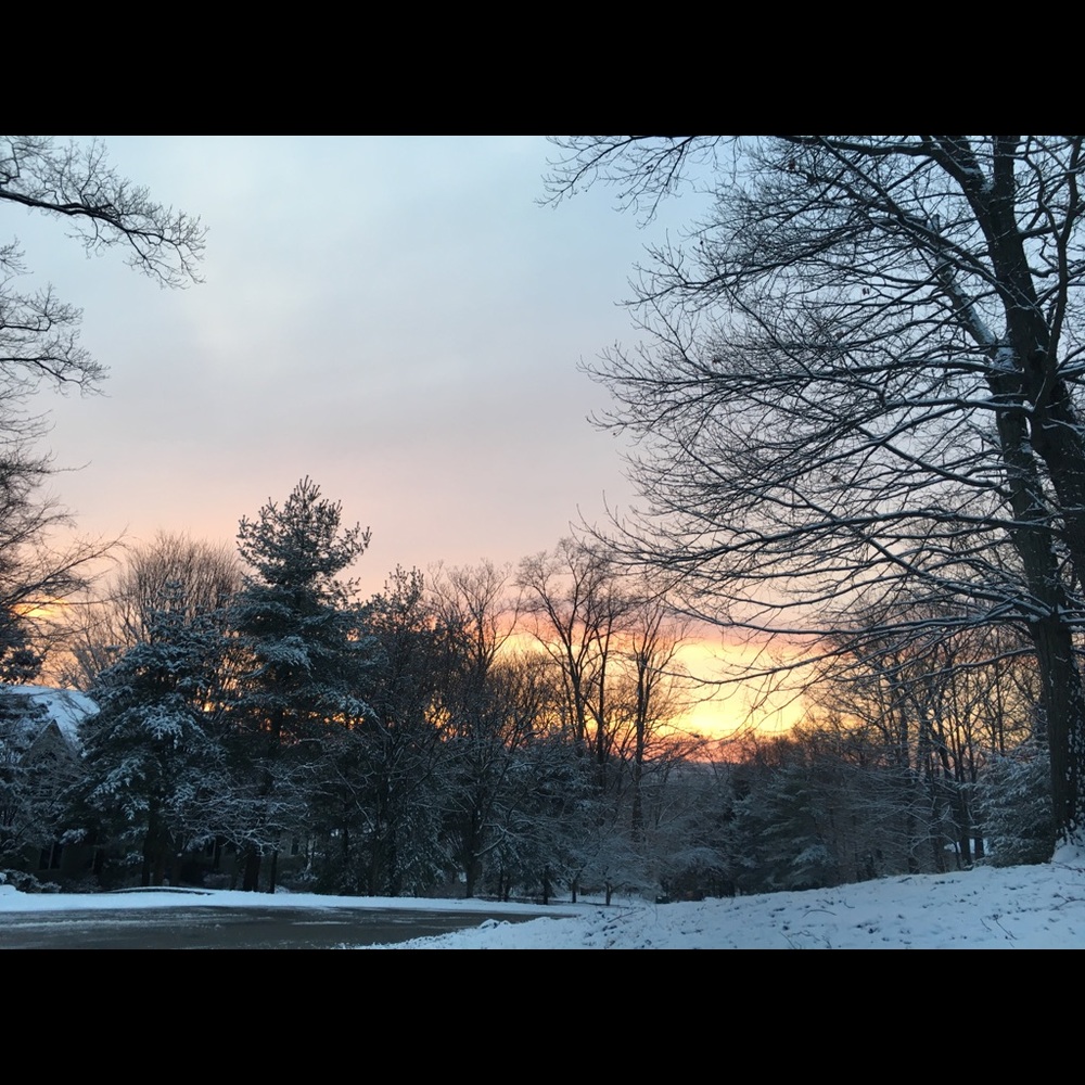 Meet your Posher, Tbird